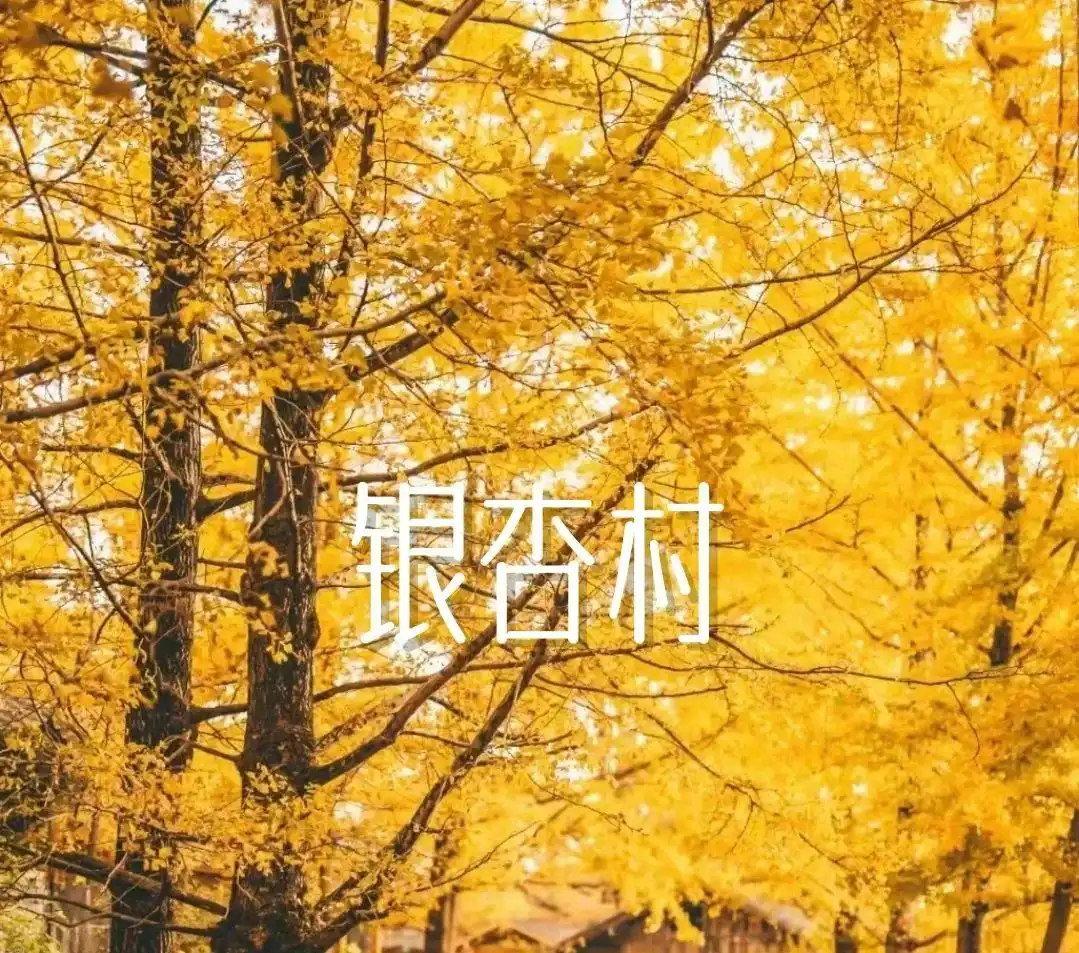 腾冲旅游全攻略：景点、美食、避雷一网打尽！