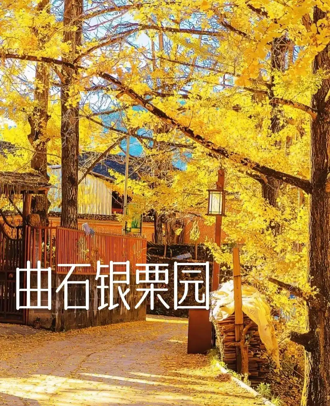 腾冲旅游全攻略：景点、美食、避雷一网打尽！