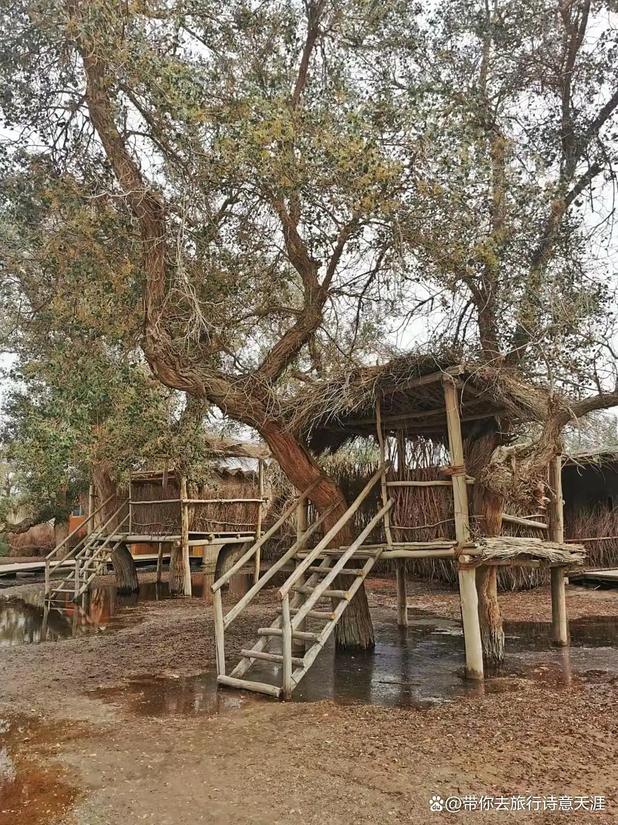 南疆旅游十景区，题小诗11首赞之