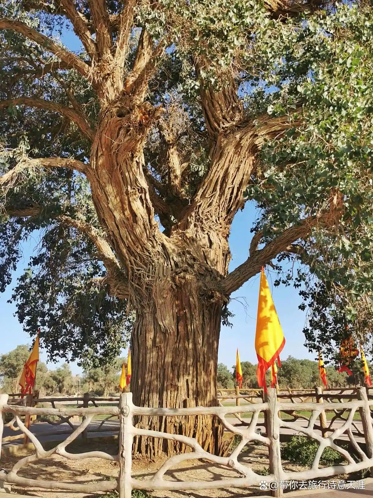 南疆旅游十景区，题小诗11首赞之