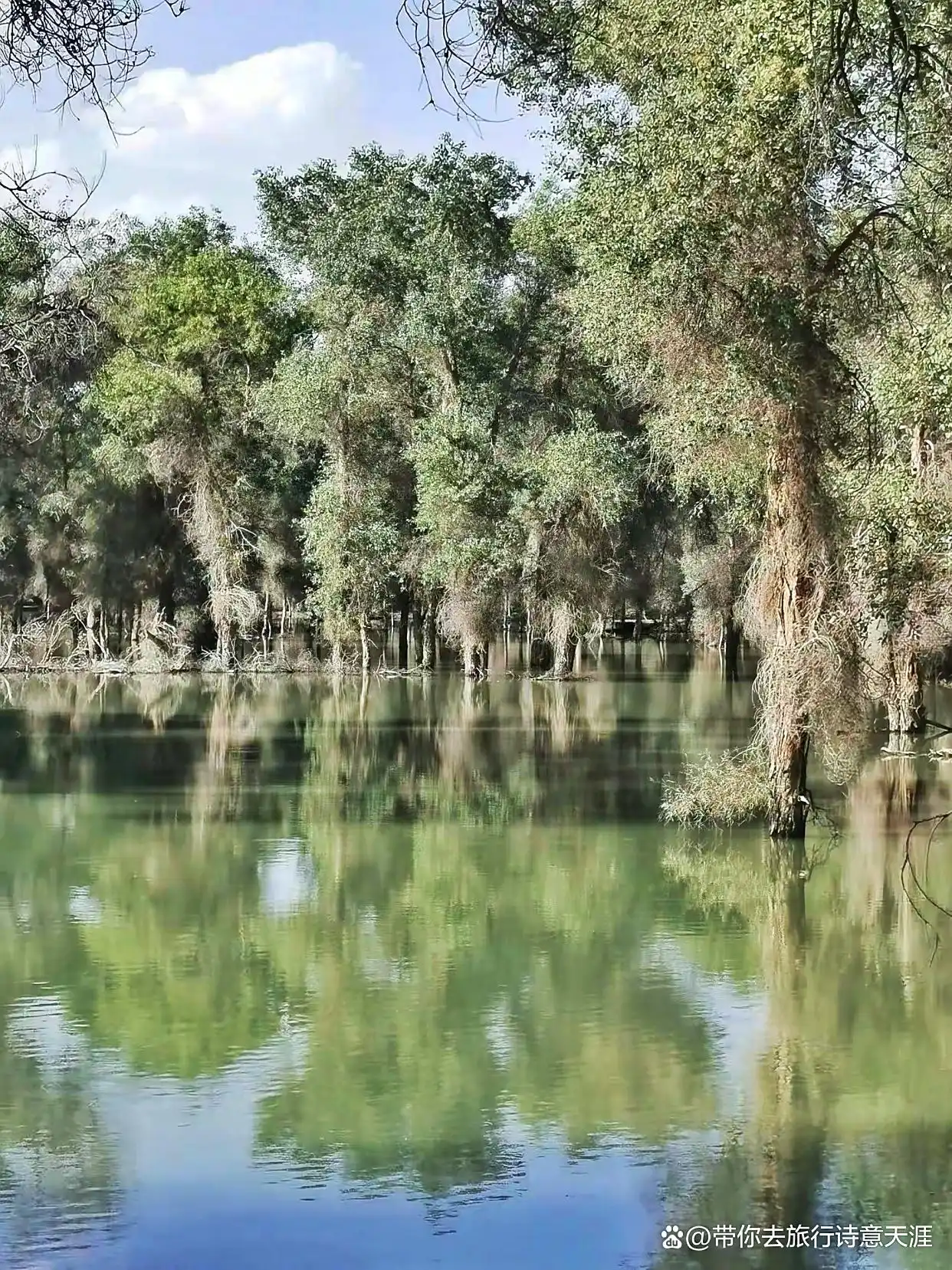 南疆旅游十景区，题小诗11首赞之