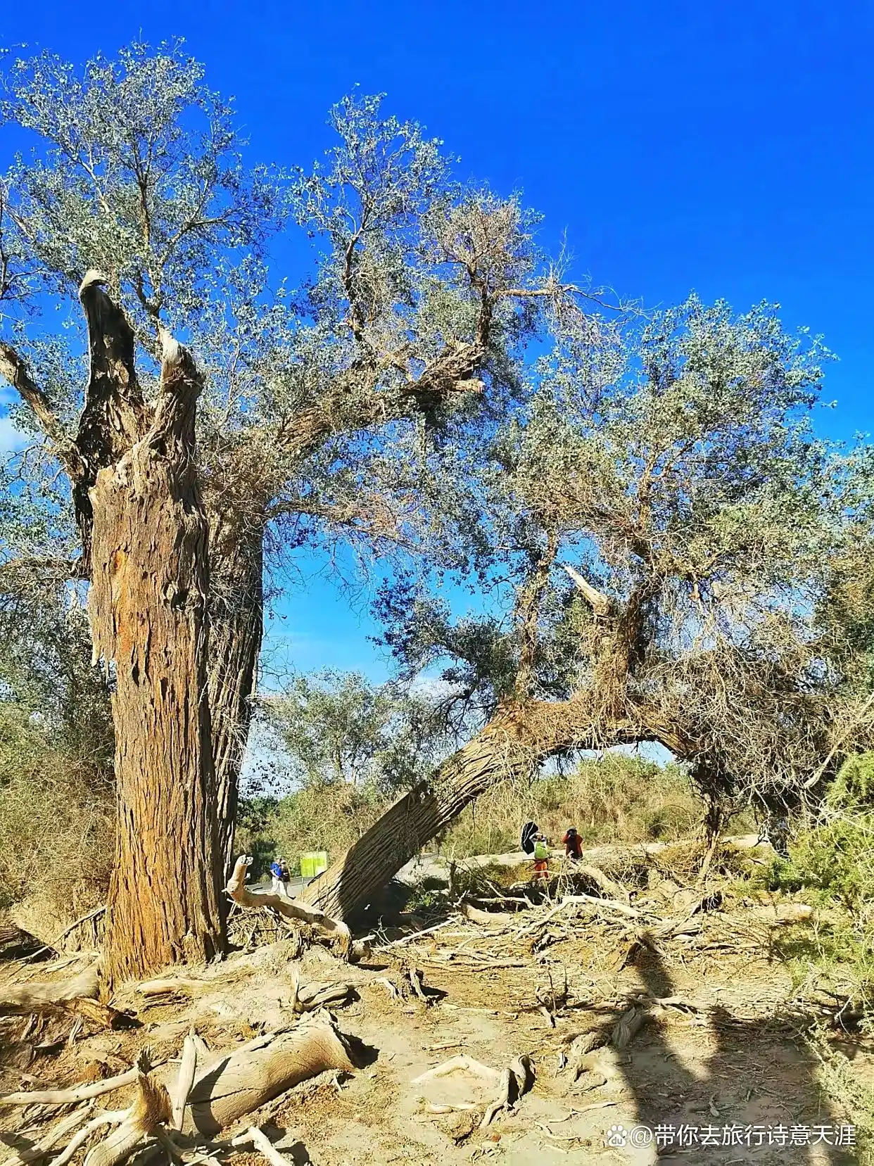 南疆旅游十景区，题小诗11首赞之