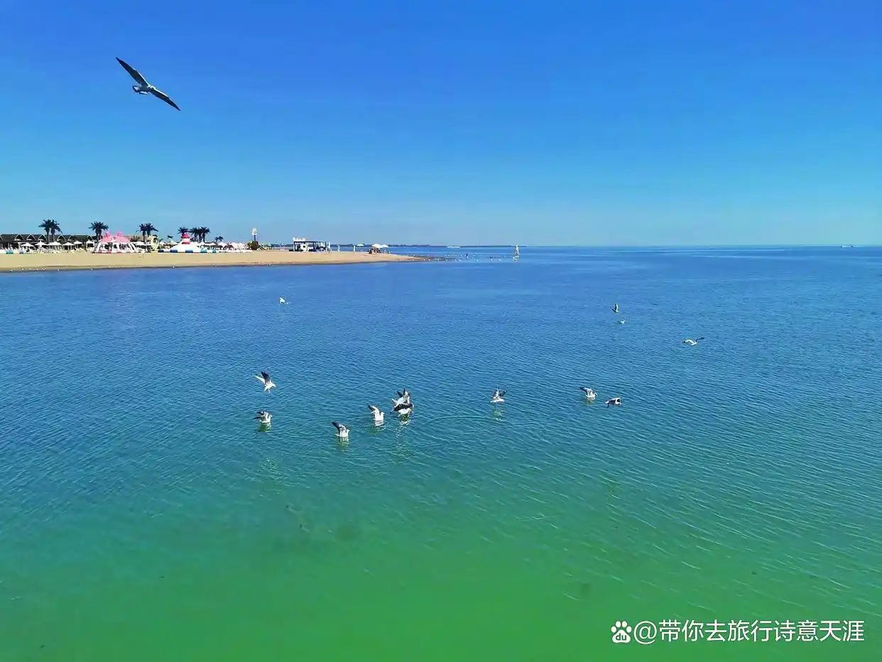 南疆旅游十景区，题小诗11首赞之