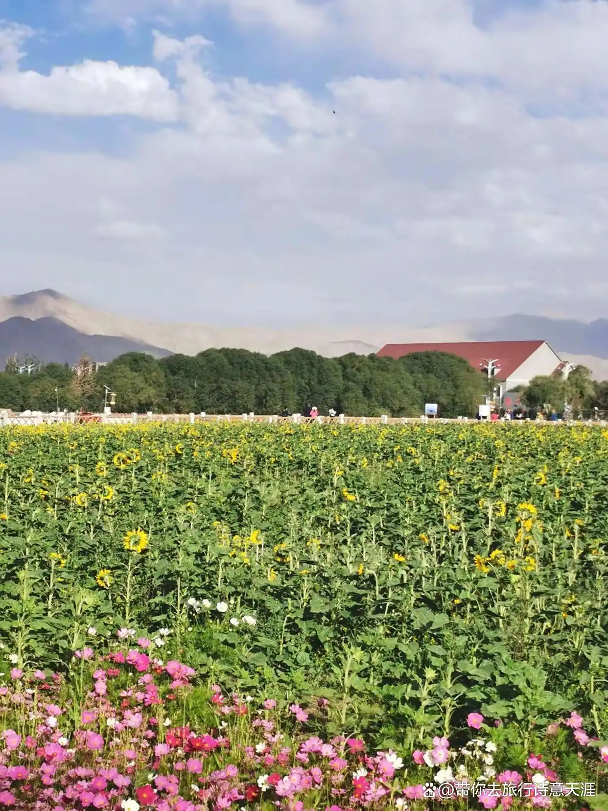 南疆旅游十景区，题小诗11首赞之