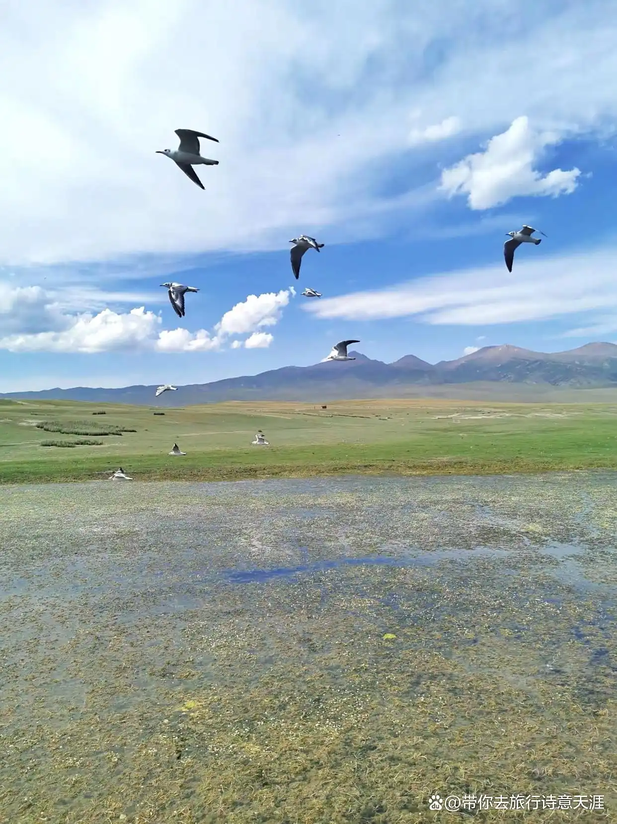 新疆天山独库公路沿途九景区，哪儿风光最美