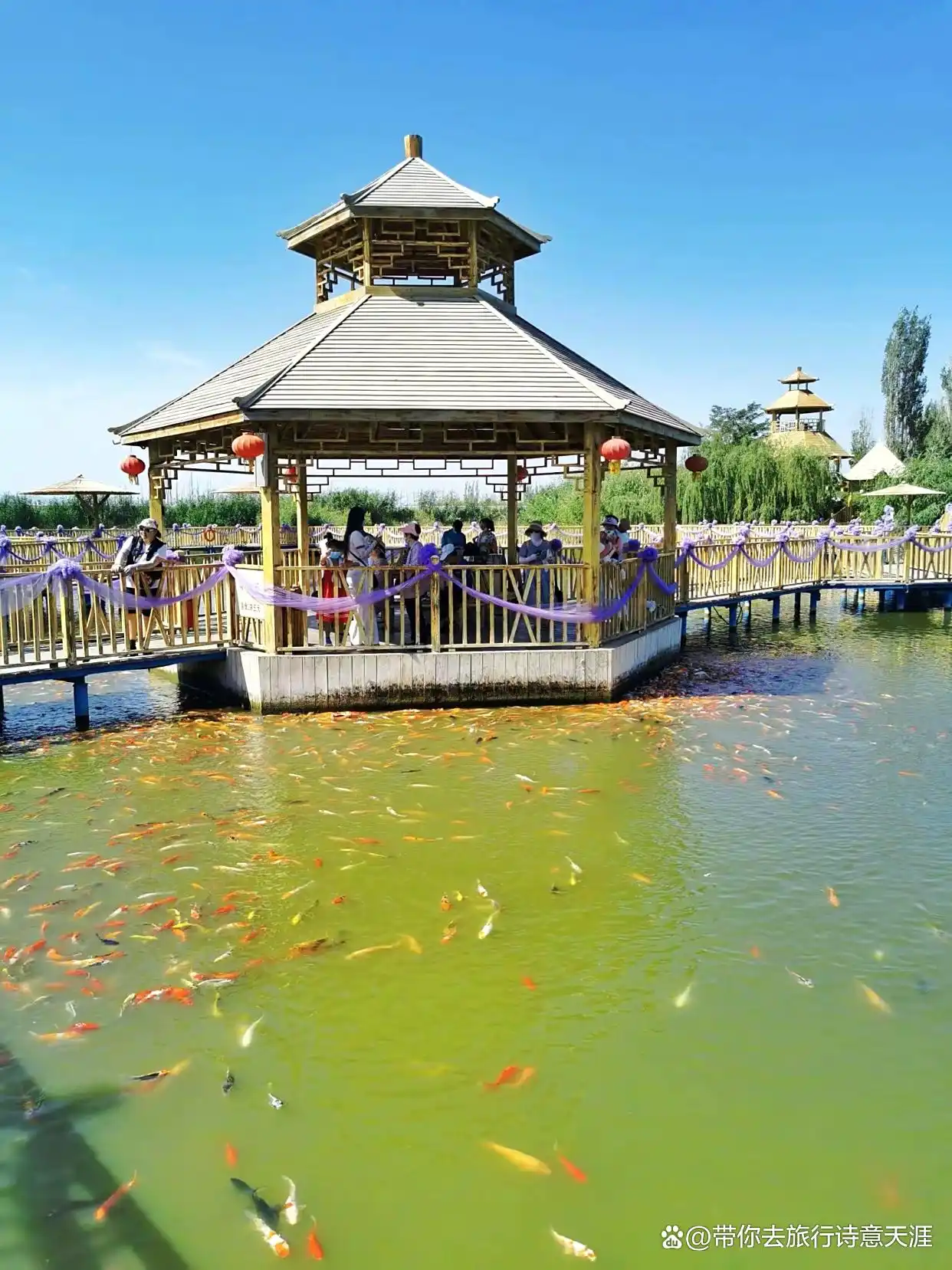 新疆博斯腾湖的大河口风光