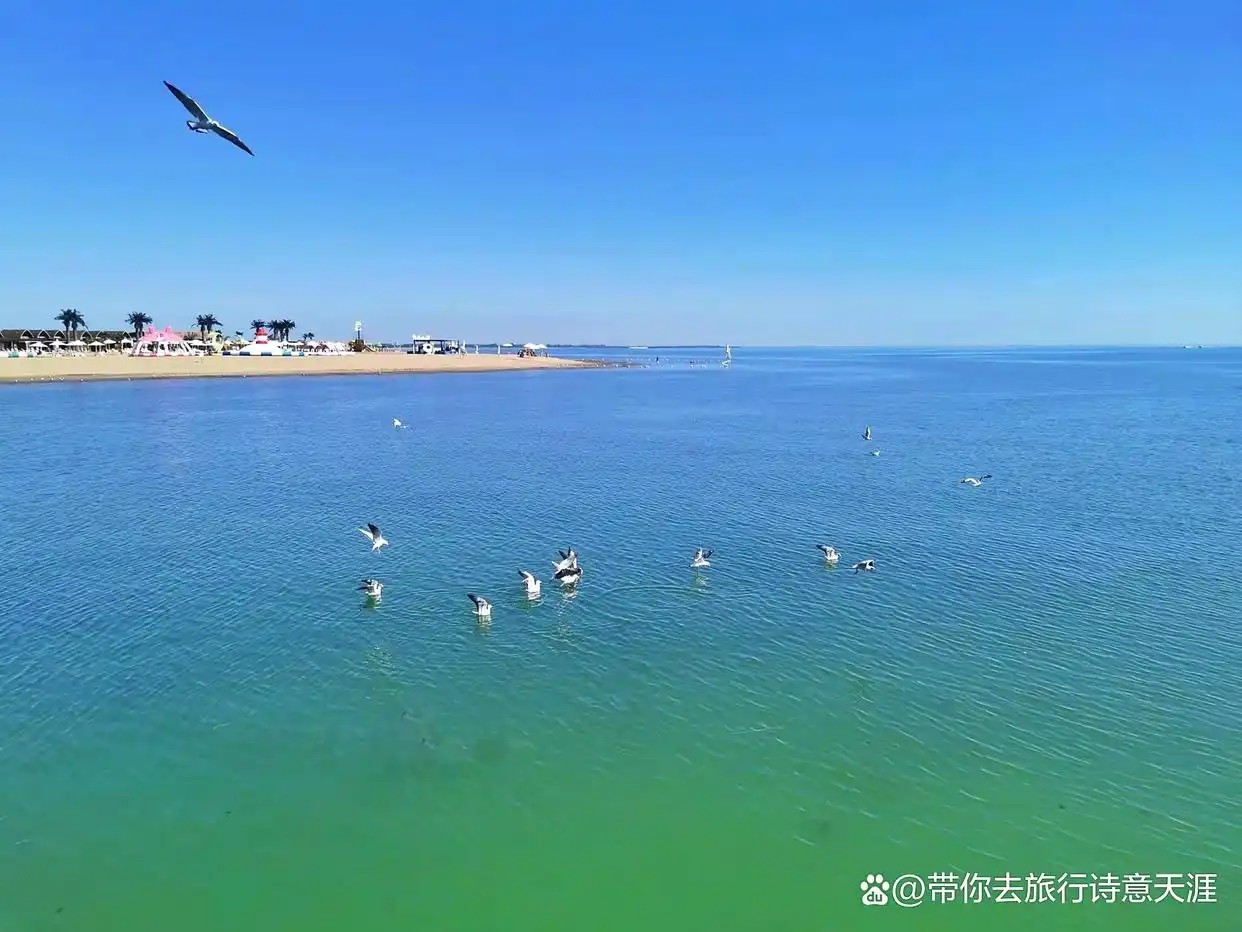 新疆博斯腾湖的大河口风光