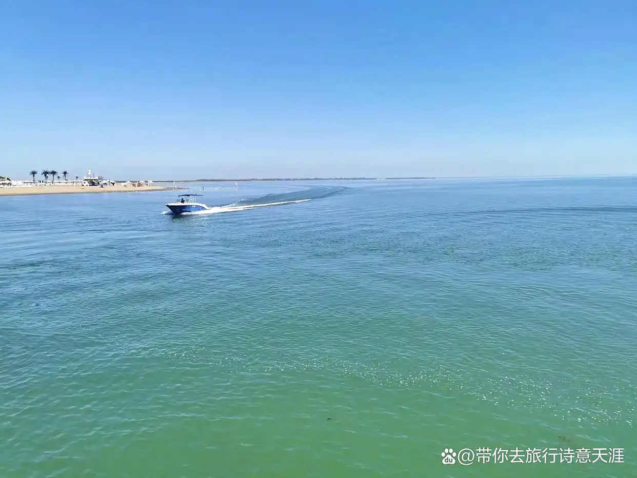 新疆博斯腾湖的大河口风光