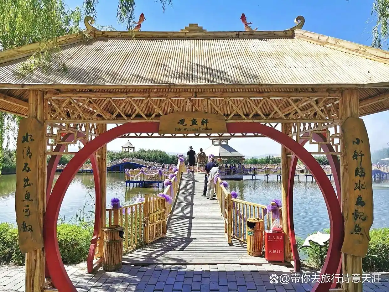 新疆博斯腾湖的大河口风光