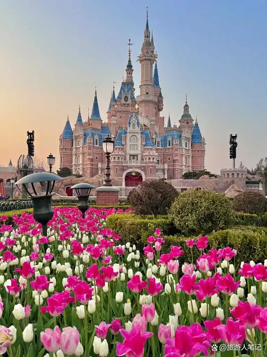上海不得不去的12个网红打卡点，不仅是打卡，更是读懂上海的一种方式