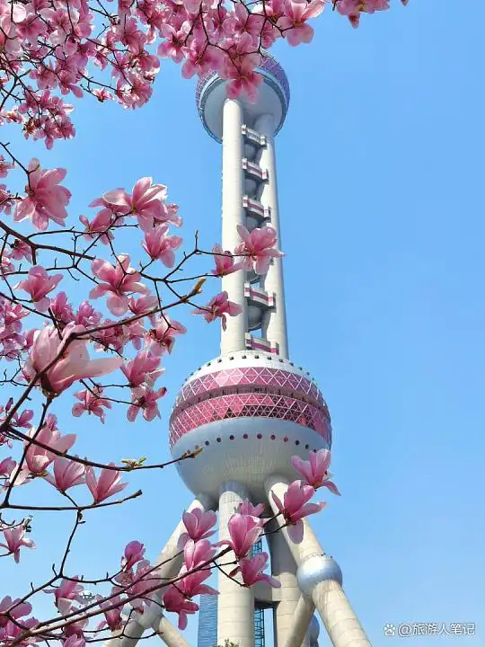 上海不得不去的12个网红打卡点，不仅是打卡，更是读懂上海的一种方式