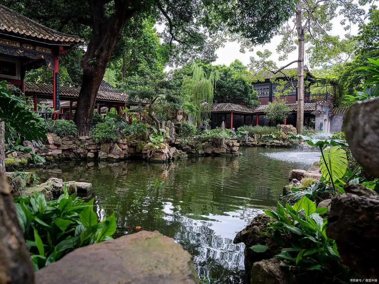 顺德游玩全攻略！跟着逛吃不踩坑，解锁 “世界美食之都”