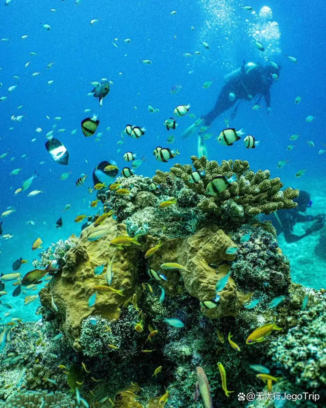 知情人｜10个你不能错过的坦桑尼亚冒险体验！