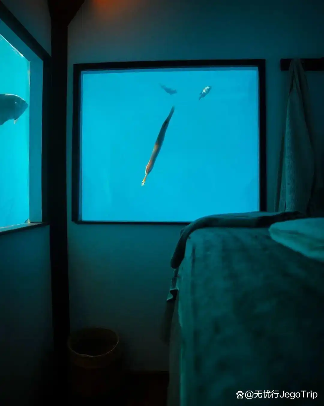 知情人｜10个你不能错过的坦桑尼亚冒险体验！