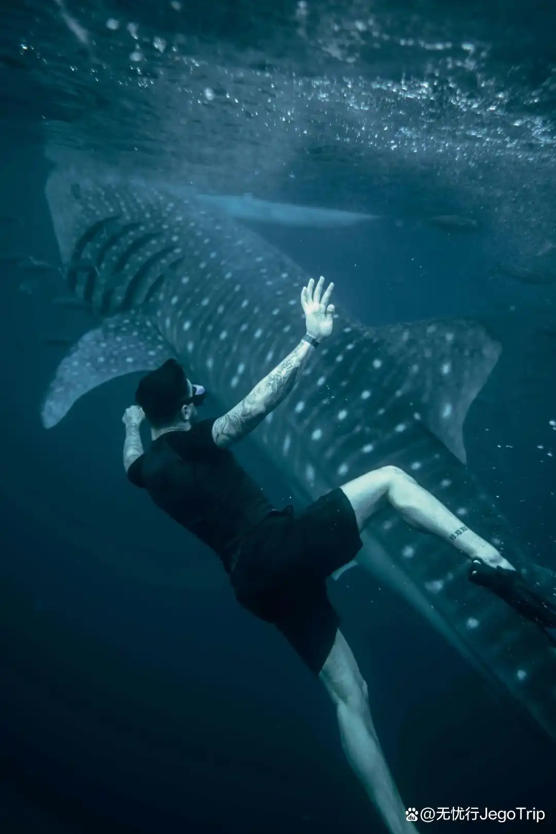 知情人｜10个你不能错过的坦桑尼亚冒险体验！