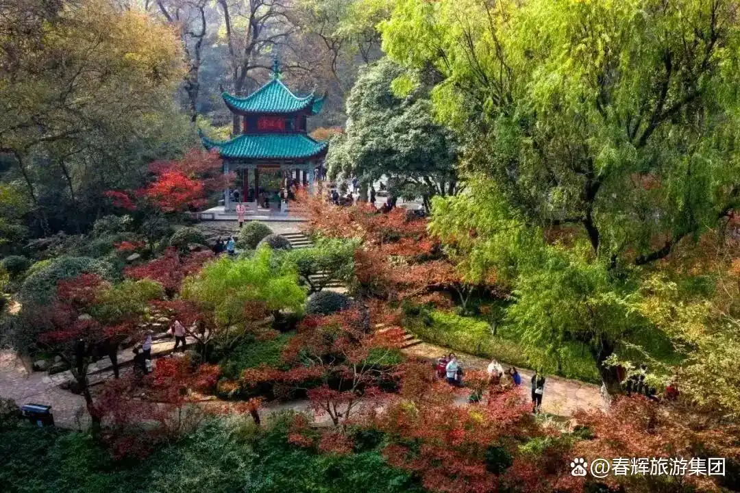 最新热门旅游城市TOP10，快来看看有没有你的城市！