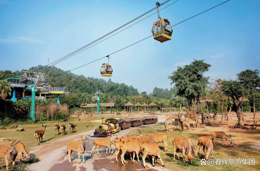 最新热门旅游城市TOP10，快来看看有没有你的城市！