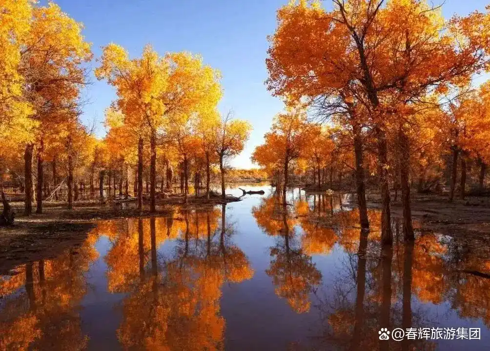 额济纳旗胡杨林即将进入最佳观赏期！一年仅美21天，错过再等一年！