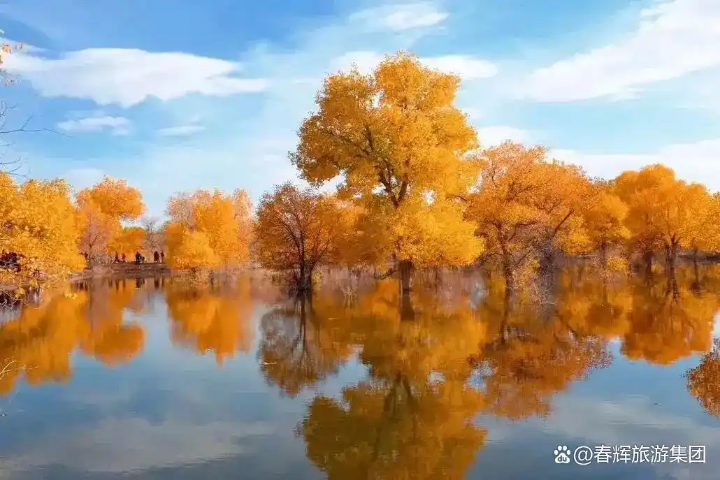 额济纳旗胡杨林即将进入最佳观赏期！一年仅美21天，错过再等一年！