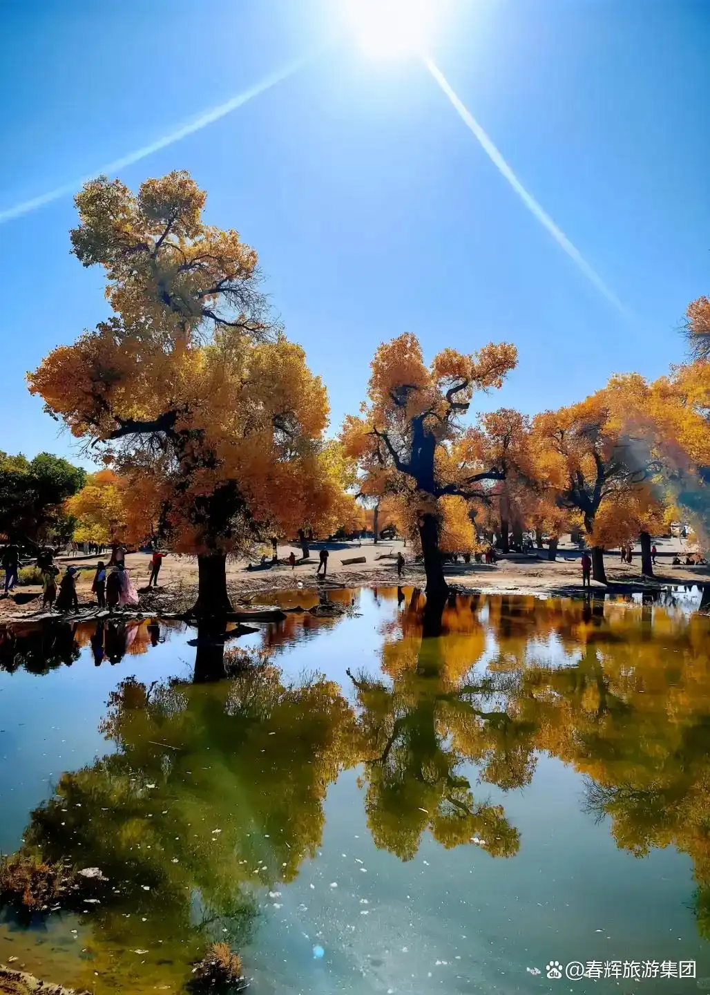 额济纳旗胡杨林即将进入最佳观赏期！一年仅美21天，错过再等一年！