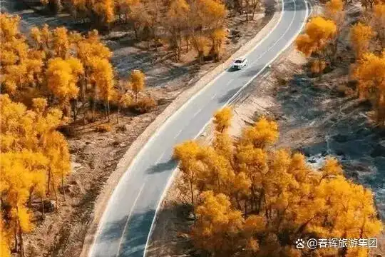 额济纳旗胡杨林即将进入最佳观赏期！一年仅美21天，错过再等一年！