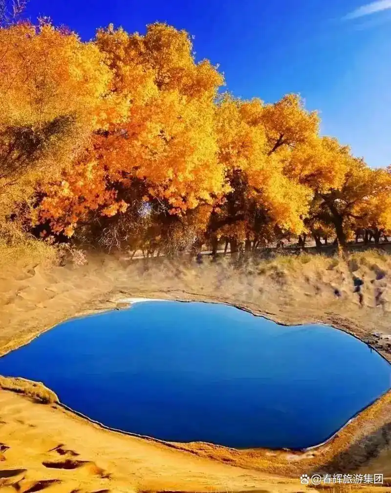额济纳旗胡杨林即将进入最佳观赏期！一年仅美21天，错过再等一年！