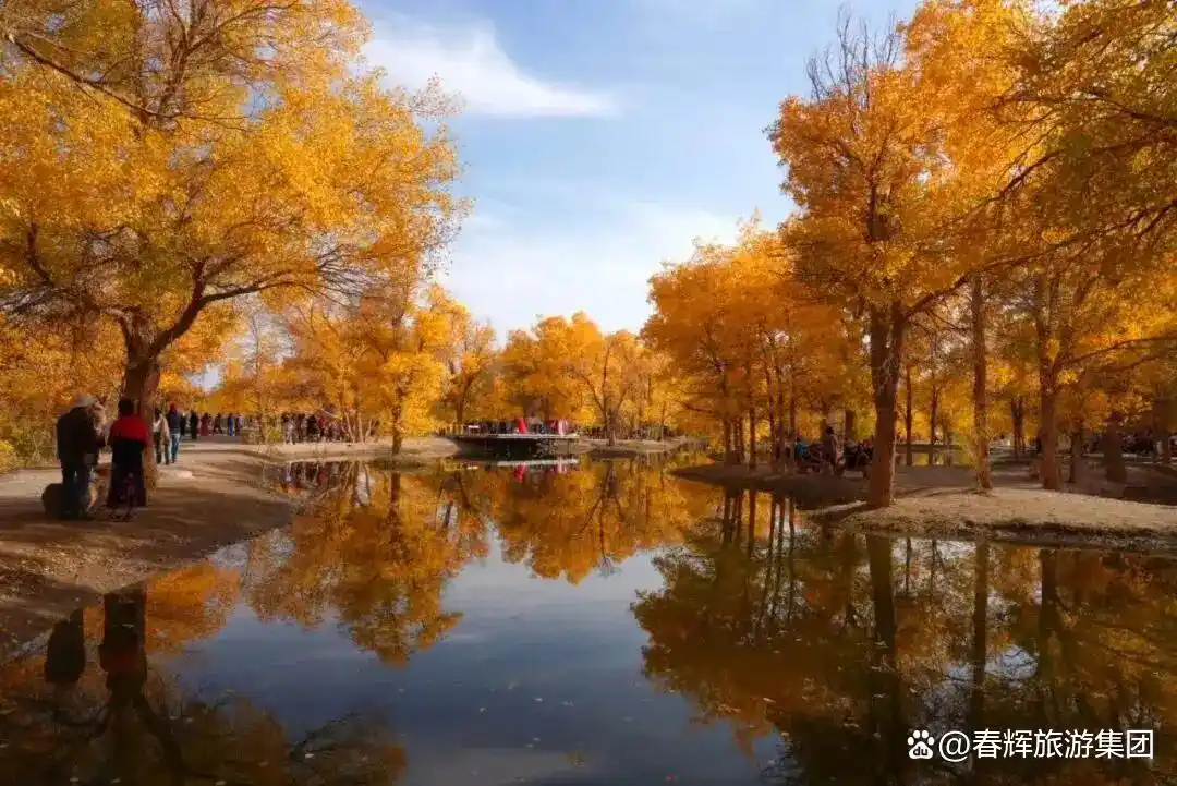 额济纳旗胡杨林即将进入最佳观赏期！一年仅美21天，错过再等一年！