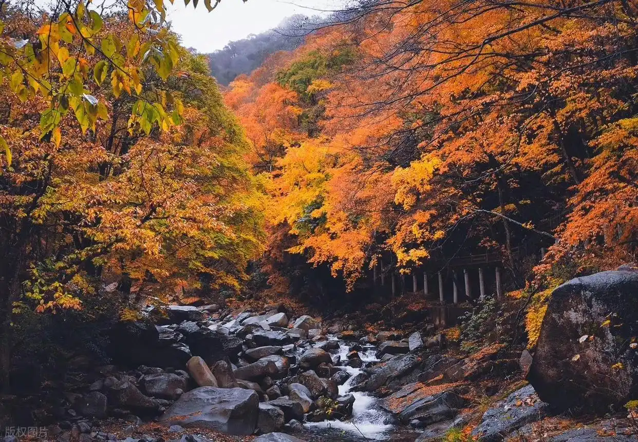 10月适合去的7个旅行地，秋景极致绚烂，赏秋氛围感满满