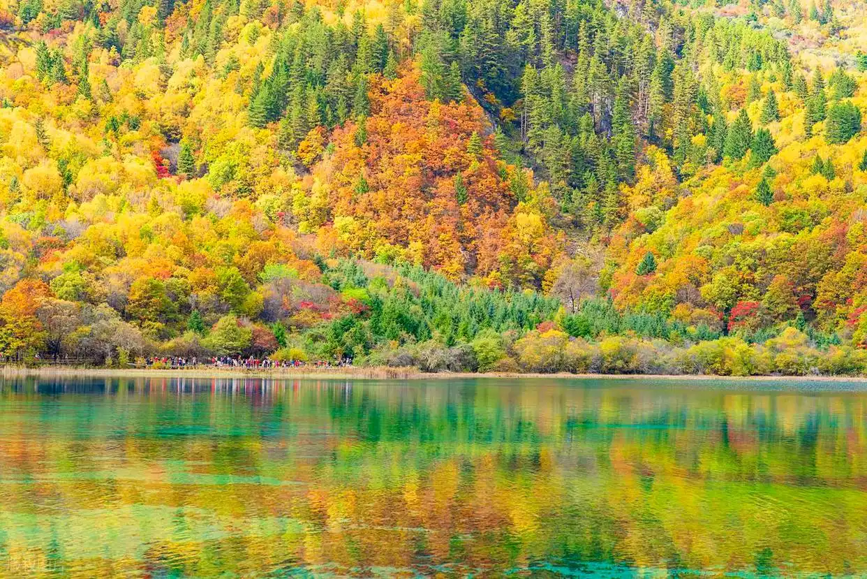 10月适合去的7个旅行地，秋景极致绚烂，赏秋氛围感满满