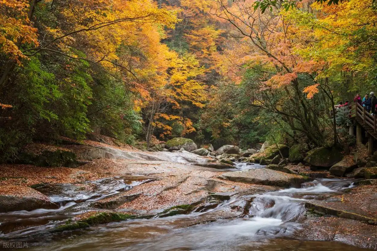 10月适合去的7个旅行地，秋景极致绚烂，赏秋氛围感满满