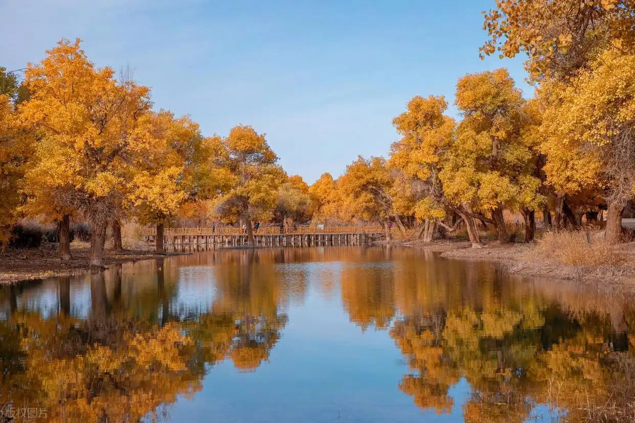 10月适合去的7个旅行地，秋景极致绚烂，赏秋氛围感满满