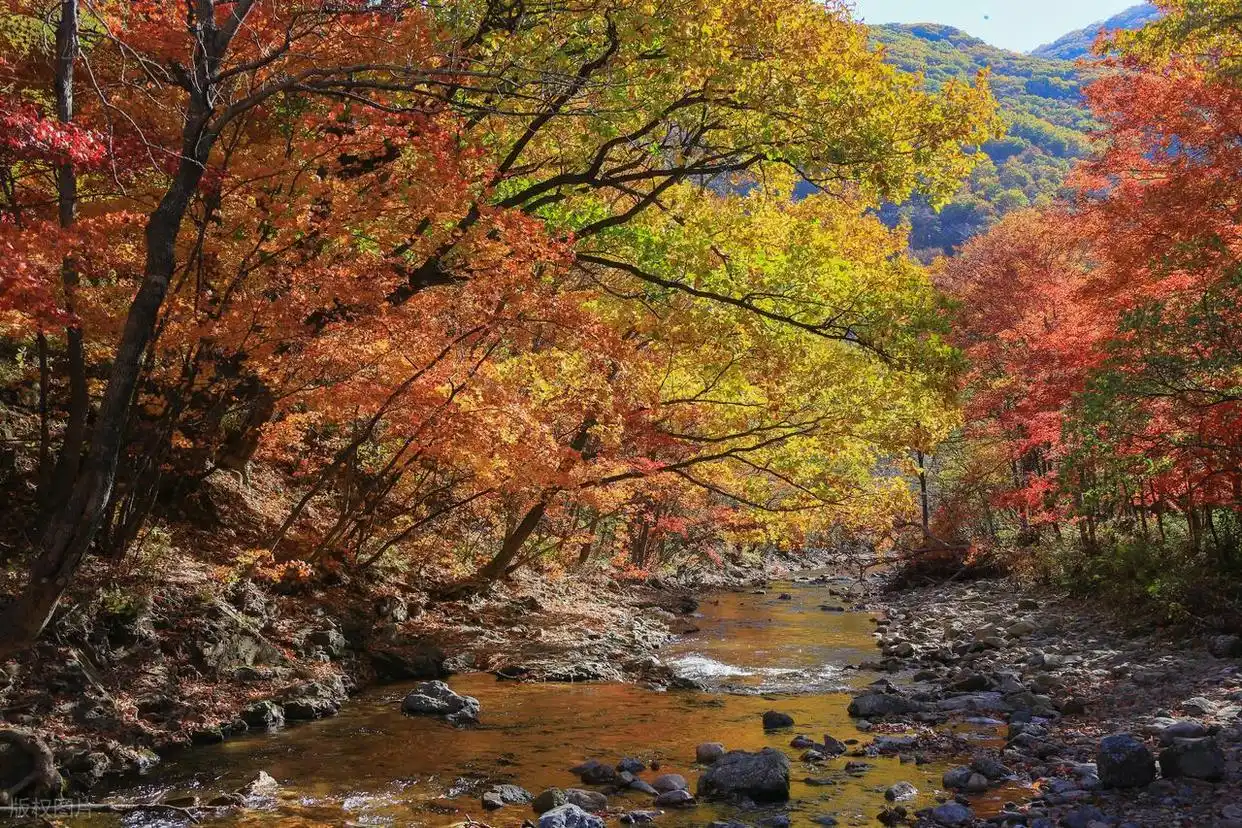 东北的秋日，8个宝藏赏秋地，层林尽染的视觉盛宴