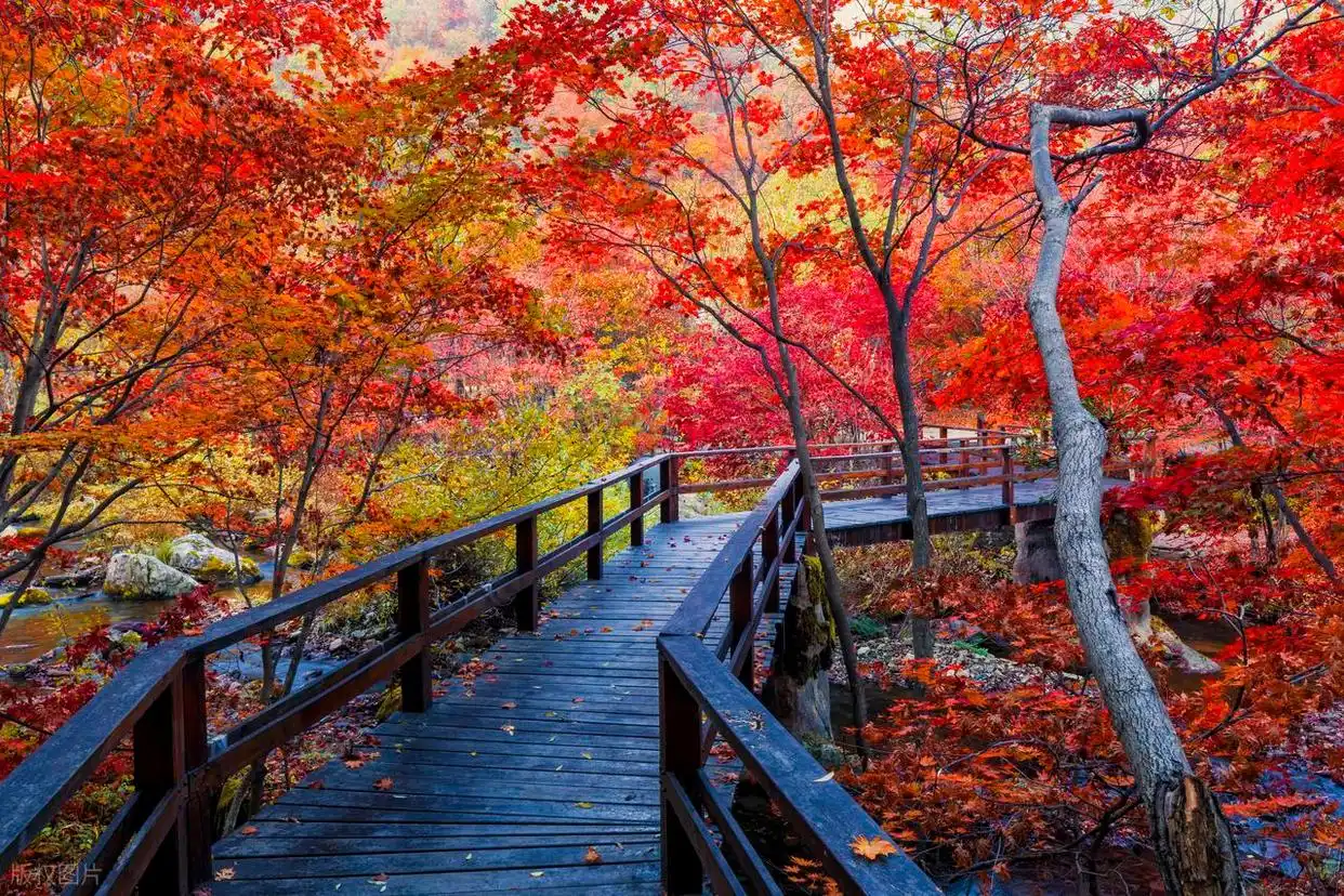 东北的秋日，8个宝藏赏秋地，层林尽染的视觉盛宴