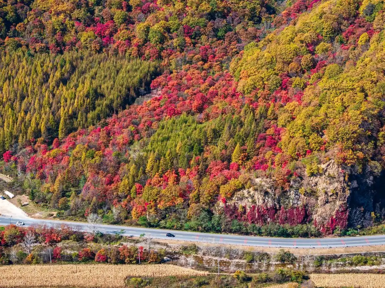 东北的秋日，8个宝藏赏秋地，层林尽染的视觉盛宴