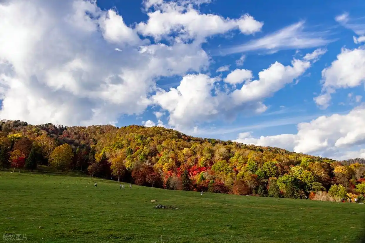 东北的秋日，8个宝藏赏秋地，层林尽染的视觉盛宴