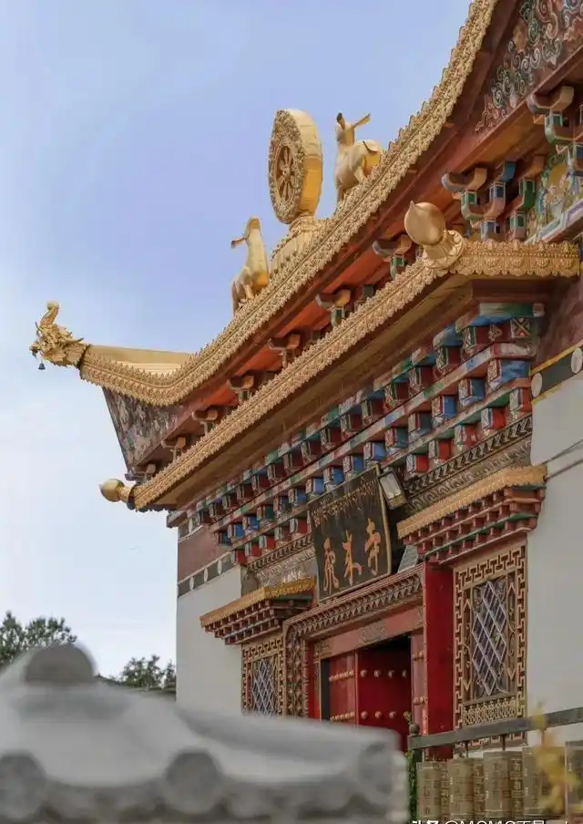 不用去玉龙雪山了！玉龙不及它一半美！这才是中国最美雪山！