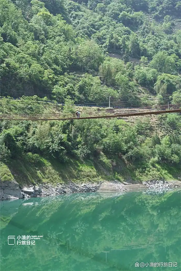 西安出发3h，陕川交界“小重庆”，超治愈的高山茶园！风景绝了