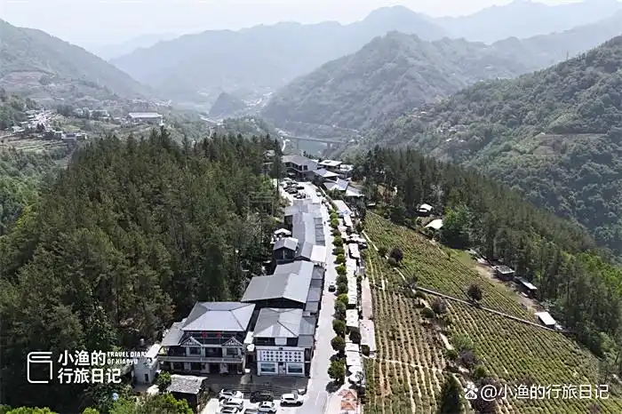 西安出发3h，陕川交界“小重庆”，超治愈的高山茶园！风景绝了