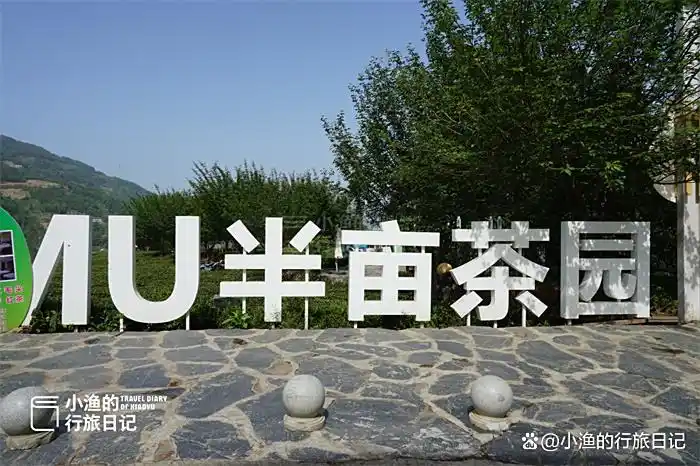 西安出发3h，陕川交界“小重庆”，超治愈的高山茶园！风景绝了