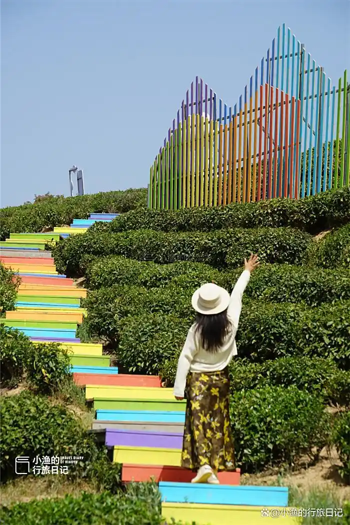 西安出发3h，陕川交界“小重庆”，超治愈的高山茶园！风景绝了