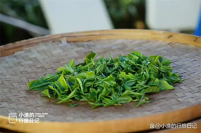 西安出发3h，陕川交界“小重庆”，超治愈的高山茶园！风景绝了