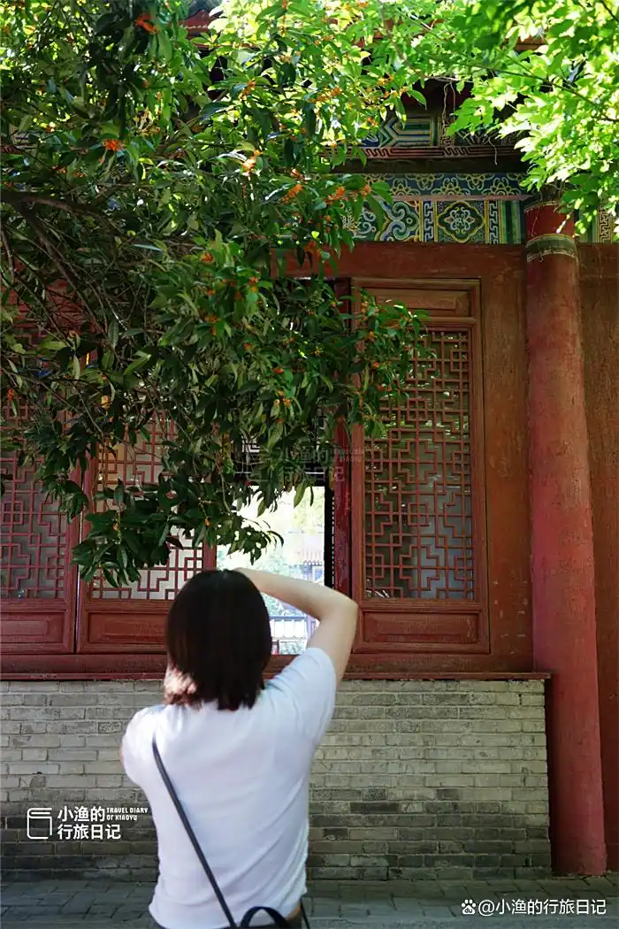 彼岸花开！西安9月绝美秋色，都藏在这座秘境古寺里！花美景更幽