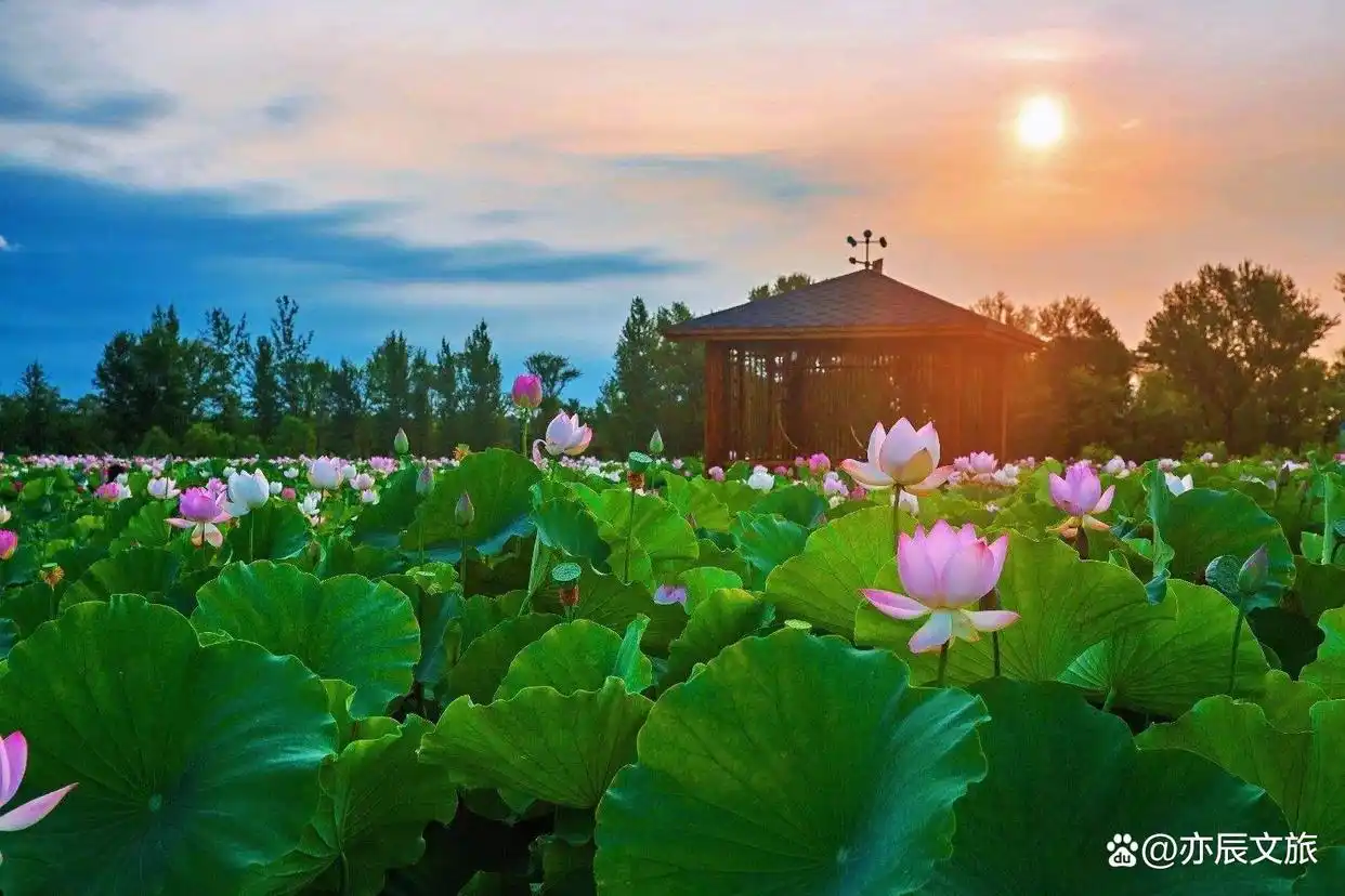 盘锦五一必去十大景点，盘锦春游好去处推荐