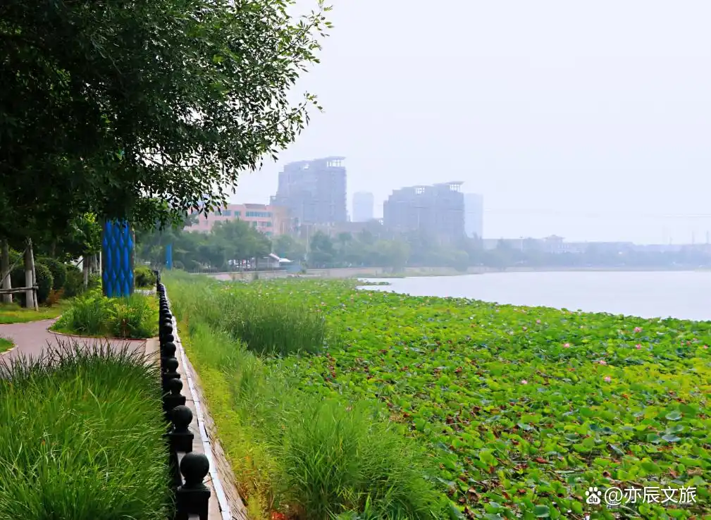 盘锦五一必去十大景点，盘锦春游好去处推荐