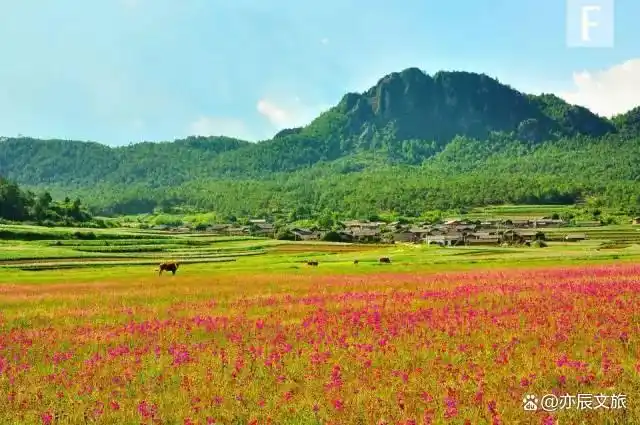 丽江五一必去9大景点，丽江春游好去处推荐