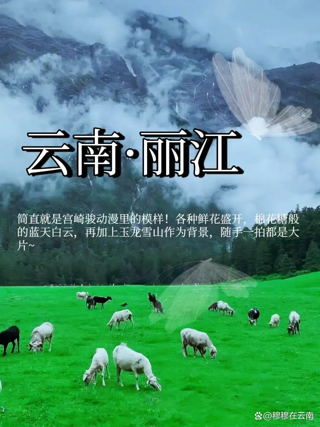 第一次去丽江旅游一定要看！丽江超全旅游攻略，太详细了！