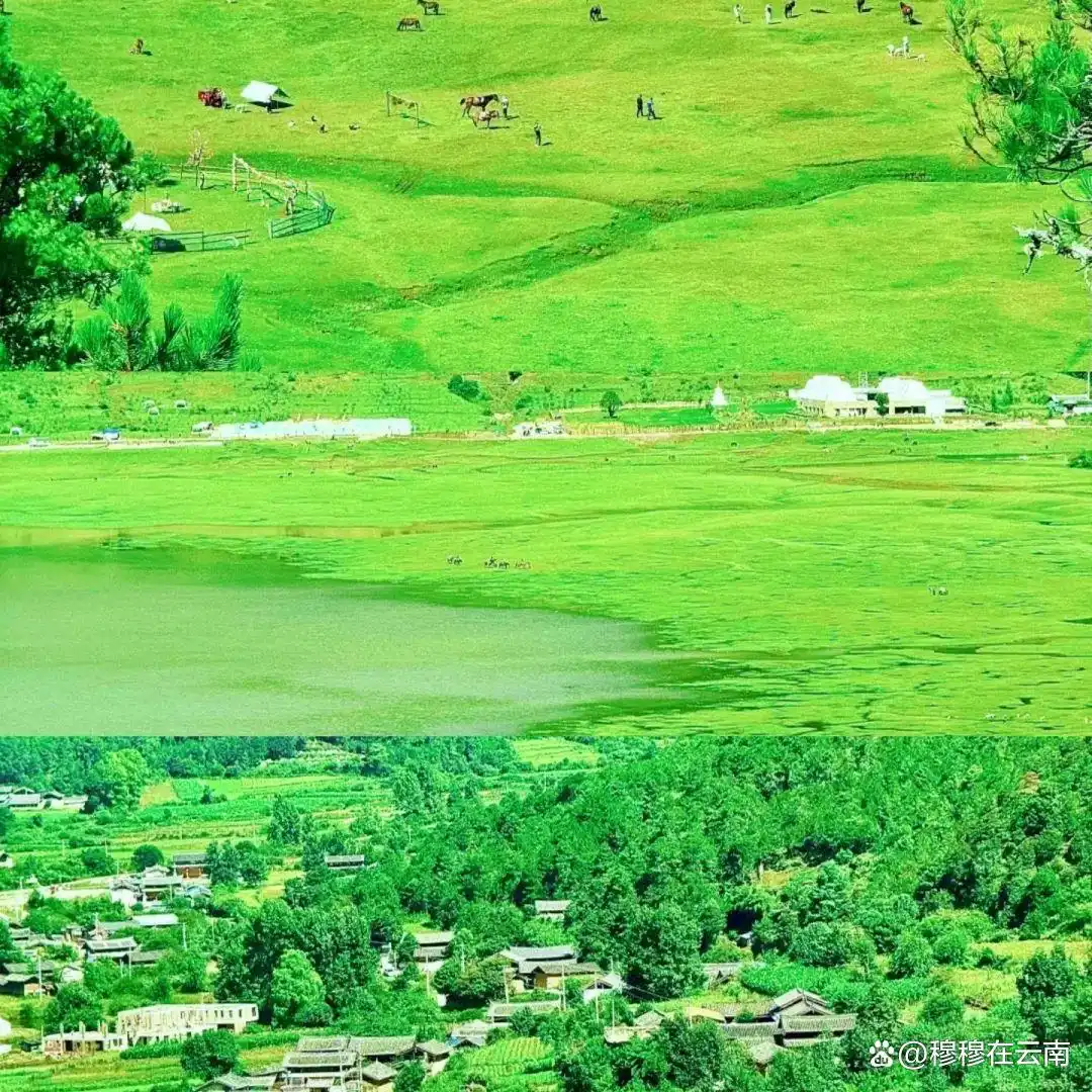 第一次去丽江旅游一定要看！丽江超全旅游攻略，太详细了！