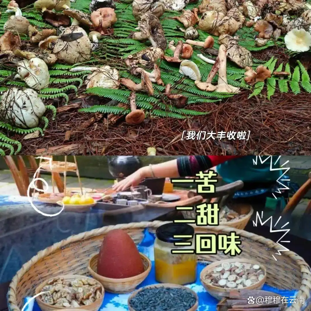 听劝！7-8月来大理旅游，苍山洱海这样玩，攻略太全了！