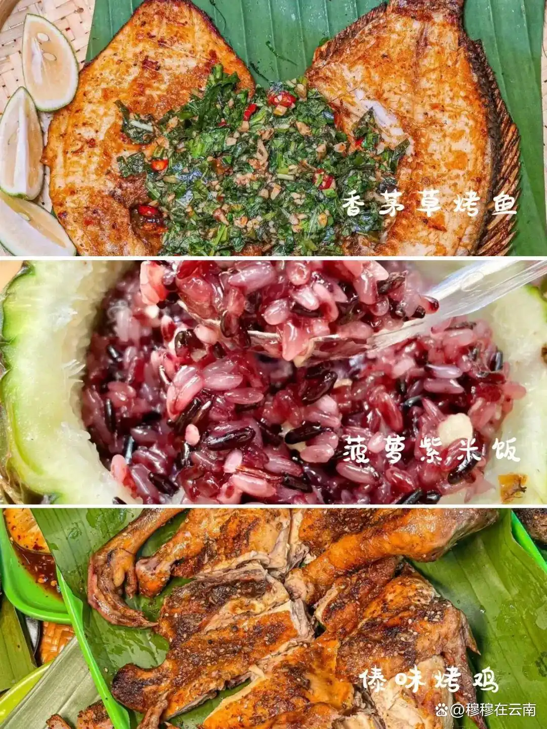 西双版纳旅游攻略｜亲子游/闺蜜游/老年游路线都给大家安排好了