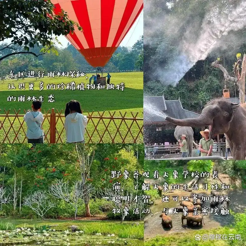 西双版纳旅游攻略｜亲子游/闺蜜游/老年游路线都给大家安排好了